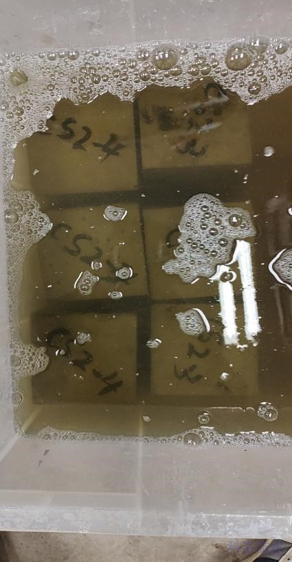 抗壓強度試驗外涂組和內摻+外涂組試件浸泡科洛永凝液DPS