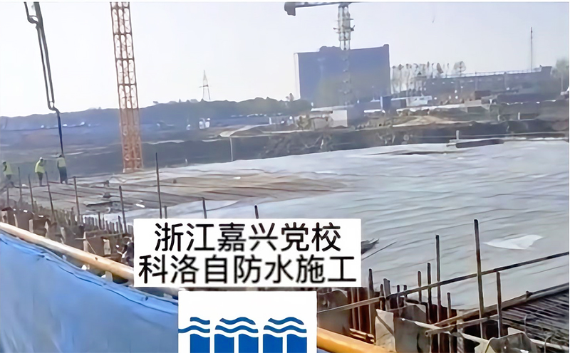 浙江嘉興黨校使用科洛結構自防水施工