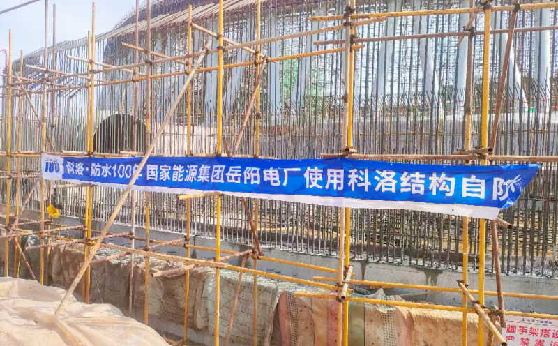 能源集團岳陽電廠-科洛案例